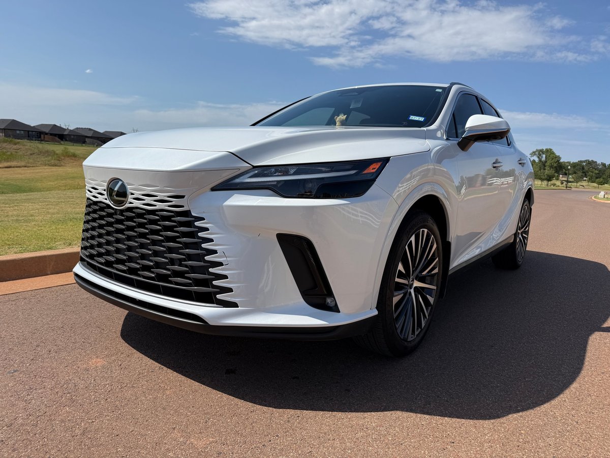 White Lexus luxury SUV parked on a paved surface with green grass and blue sky in the background, freshly detailed